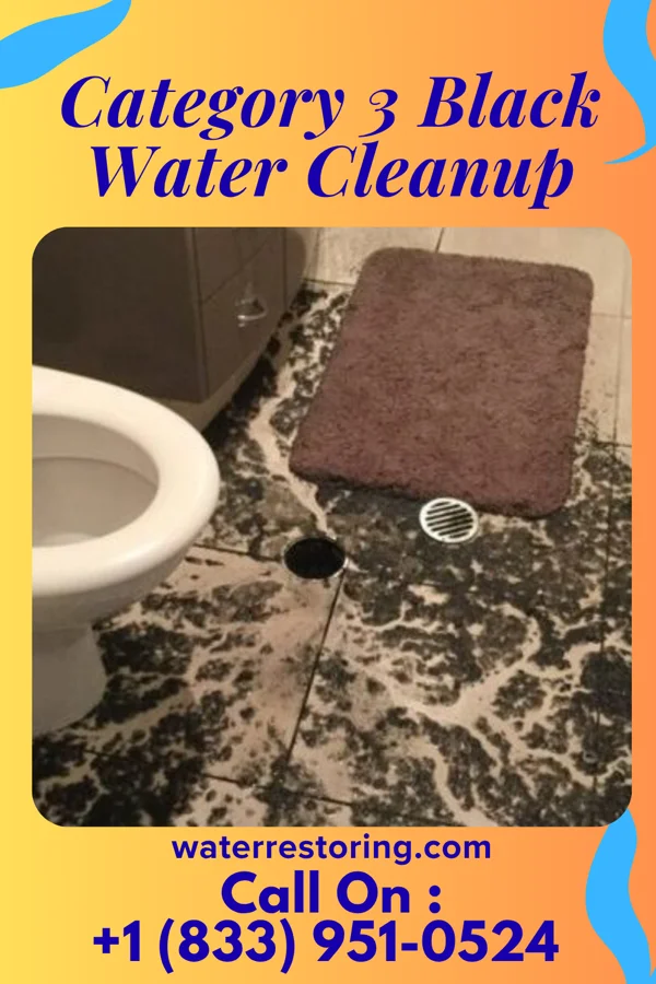 Category 3 Black Water Cleanup in Mount Wolf, PA