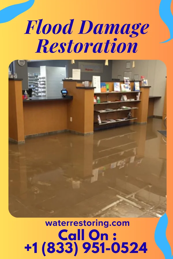 Flood Damage Restoration in Mount Wolf, PA