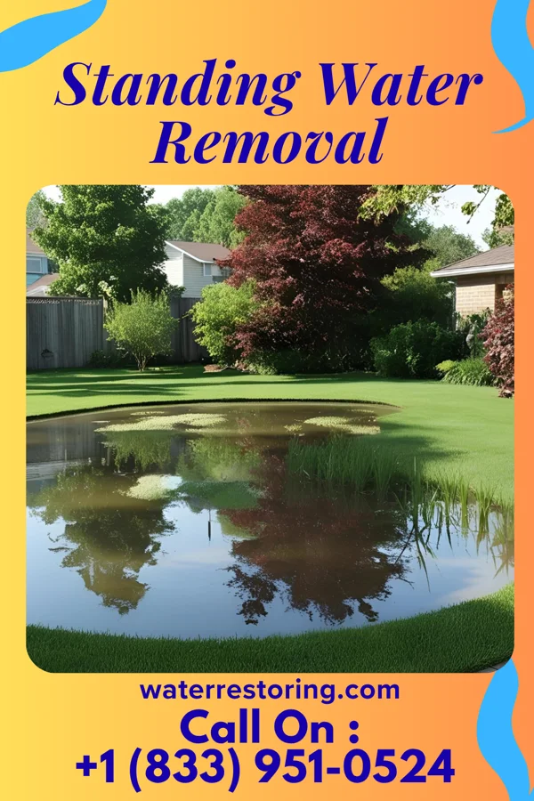 Standing Water Removal in Mount Wolf, PA